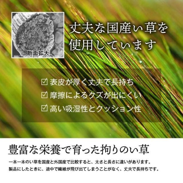 純国産 い草 上敷き 上質ない草で作った カーペット 双目織 江戸間8畳(約352×352cm）