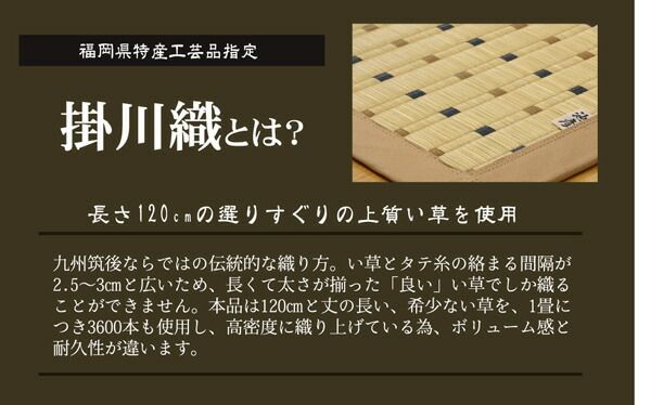 純国産 掛川織 い草カーペット 『スウィート』 江戸間8畳(約348×352cm)