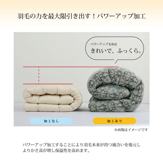 寝具 羽毛 掛け布団 日本製 抗菌防臭 防ダニ アレルプラス加工 立体キルト ダウンパワー370 ホワイトダックダウン90％ シングルロング 150×210cm