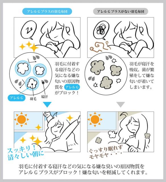 寝具 羽毛 掛け布団 日本製 抗菌防臭 防ダニ アレルプラス加工 立体キルト ダウンパワー370 ホワイトダックダウン90％ シングルロング 150×210cm