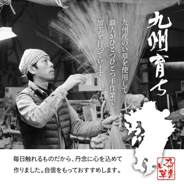 純国産 い草 上敷き カーペット 格子柄 江戸間4.5畳(約261×261cm）