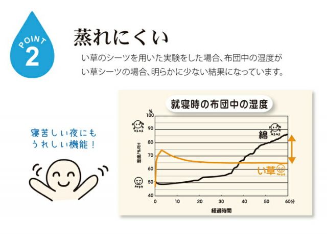 固わた40mm入り い草ごろ寝フリーマット（おやじの場所) 『大和』 約70×150cm