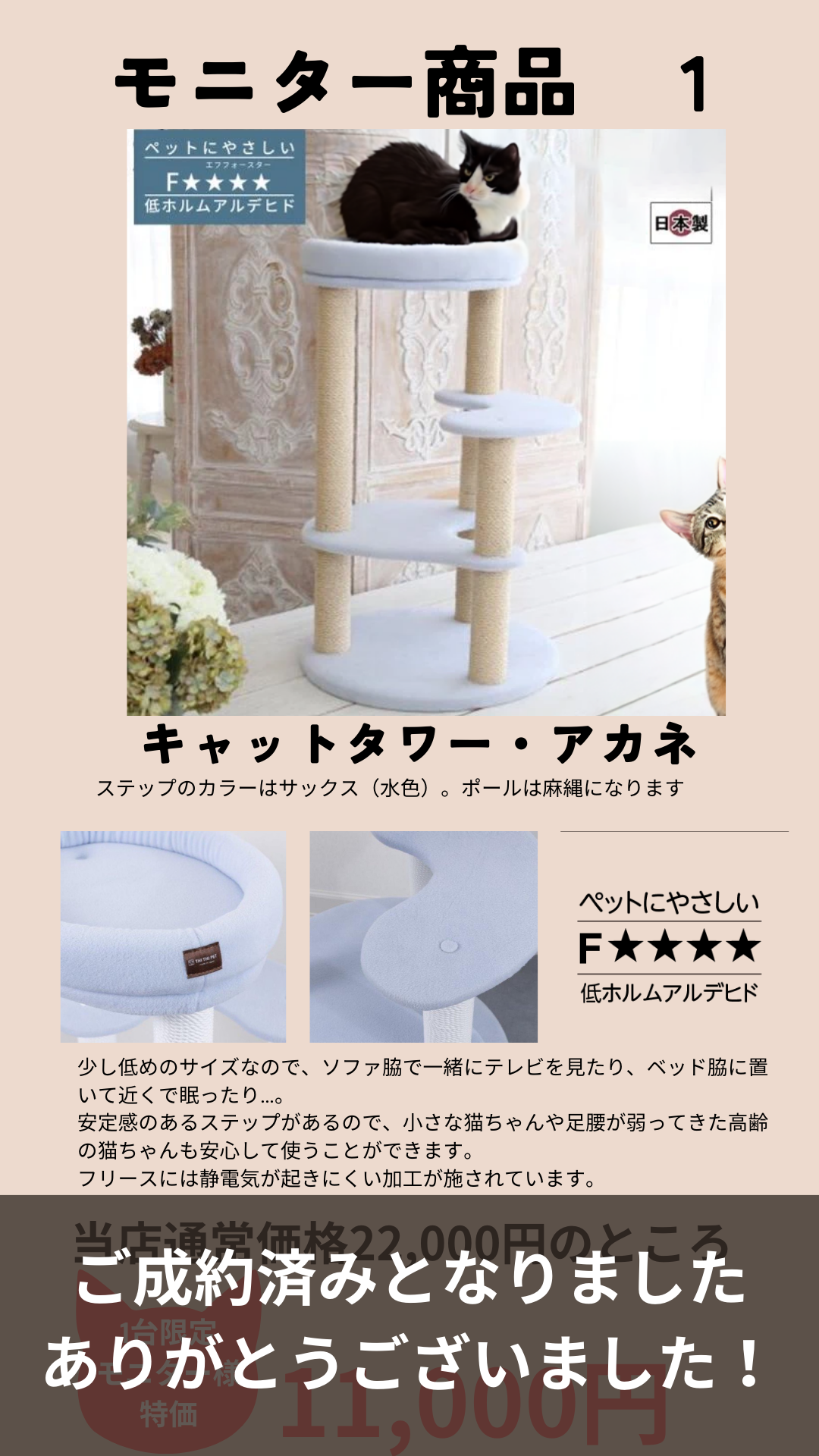 ５名様限定　日本製　キャットタワー・ペットソファ　モニター募集