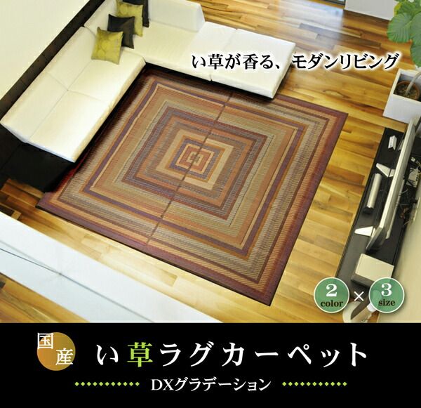 い草 ラグマット/絨毯 袋三重織 ブラウン 約140×200cm 日本製 裏：不織布 抗菌 防臭 調湿機能 消臭 〔リビング〕代引NG