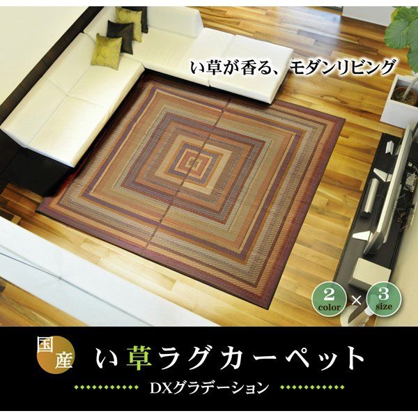 い草 ラグマット/絨毯 袋三重織 グリーン 約140×200cm 日本製 裏：不織布 抗菌 防臭 調湿機能 消臭 〔リビング〕代引NG