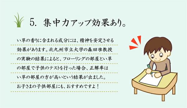 い草 花ござ/ラグマット 市松柄 グリーン 江戸間6畳 約261×352cm 抗菌防臭効果 調湿機能 〔リビング〕代引NG