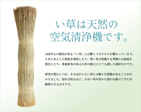 無染土 い草 上敷き/ラグマット 江戸間8畳 約352×352cm 裏：不織布張り 抗菌 防臭 ボリューム 〔リビング〕代引NG