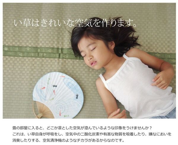 い草 上敷き/ラグマット 市松織 三六間6畳 約273×364cm 日本製 抗菌防臭 耐久性抜群 熊本県八代産イ草使用 〔リビング〕代引NG