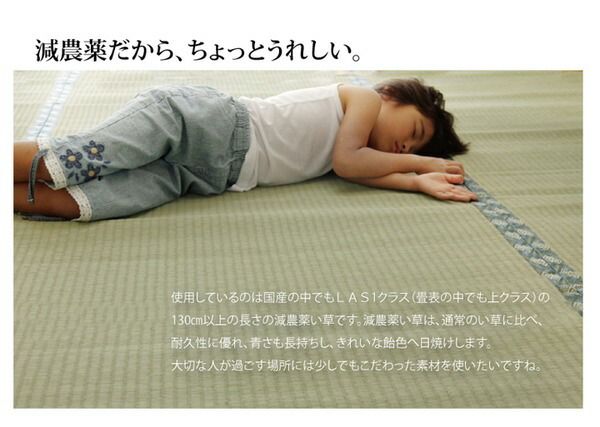 い草 上敷き/ラグマット 糸引織 本間1畳 約95×191cm 抗菌 防臭 調湿 日本製 減農薬栽培 熊本県八代産イ草使用代引NG カーペット・マット・畳 マット