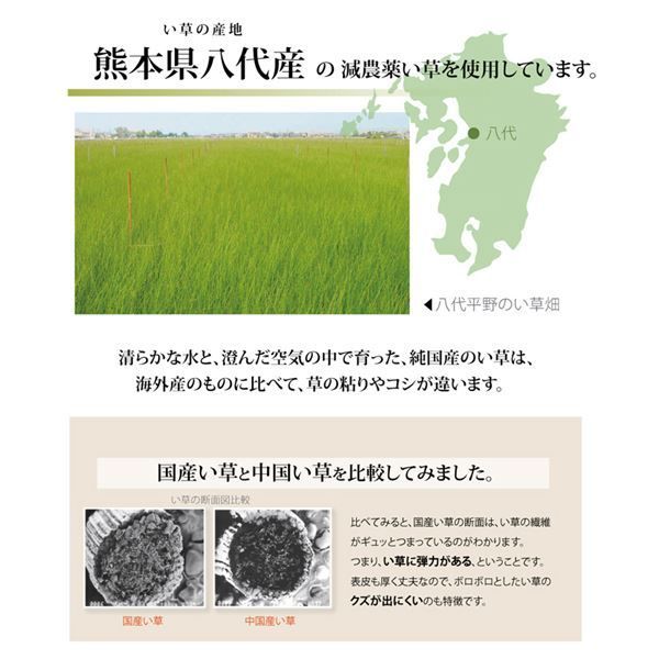 い草 上敷き/ラグマット 糸引織 三六間8畳 約364×364cm 抗菌 防臭 調湿 日本製 減農薬栽培 熊本県八代産イ草使用代引NG カーペット・マット・畳 マット