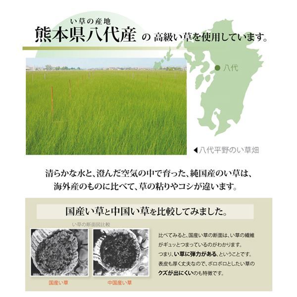 い草 上敷き/ラグマット 麻綿織 江戸間2畳 約176×176cm 抗菌 防臭 調湿 消臭 日本製 熊本県八代産イ草使用 〔リビング〕代引NG カーペット・マット・畳 マット