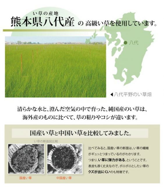 い草 上敷き/ラグマット 麻綿織 江戸間3畳 約176×261cm 抗菌 防臭 調湿 消臭 日本製 熊本県八代産イ草使用 〔リビング〕代引NG カーペット・マット・畳 マット