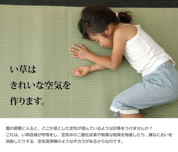 い草 上敷き/ラグマット 麻綿織 江戸間6畳 約261×352cm 抗菌 防臭 調湿 消臭 日本製 熊本県八代産イ草使用 〔リビング〕代引NG カーペット・マット・畳 マット