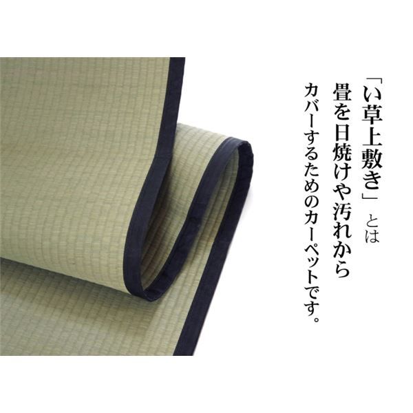 い草 上敷き/ラグマット 麻綿織 江戸間8畳 約352×352cm 抗菌 防臭 調湿 消臭 日本製 熊本県八代産イ草使用 〔リビング〕代引NG カーペット・マット・畳 マット