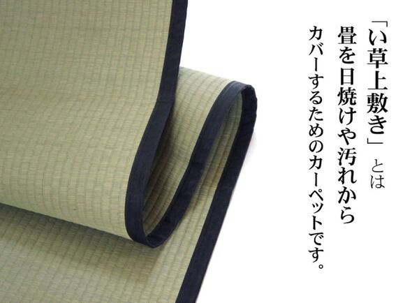 い草 上敷き/ラグマット 麻綿織 本間2畳 約191×191cm 抗菌 防臭 調湿 消臭 日本製 熊本県八代産イ草使用 〔リビング〕代引NG カーペット・マット・畳 マット