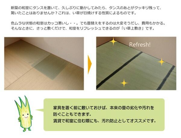 い草 上敷き/ラグマット 麻綿織 本間4.5畳 約286×286cm 抗菌 防臭 調湿 消臭 日本製 熊本県八代産イ草使用 〔リビング〕代引NG カーペット・マット・畳 マット