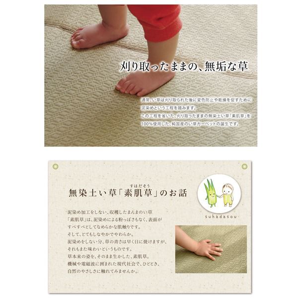 い草 ラグマット/絨毯 約140×200cm デニム 日本製 無染土 裏地ウレタン 調湿 弾力性 耐久性 〔リビング ダイニング〕代引NG