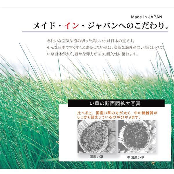 日本製 い草 ラグマット オリエンタル柄 ブラウン 約191×191cm 抗菌 防臭 調湿機能付 〔リビング ダイニング〕代引NG
