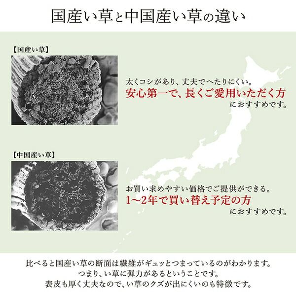 い草 花ござ/ラグマット ブルー 江戸間1畳 約87×174cm 裏：不織布 防傷 抗菌 防臭 調湿 弾力性 〔リビング〕代引NG