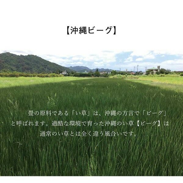 い草 ラグマット/絨毯 約191×191cm 裏：不織布 防滑加工 調湿 消臭効果 日本製 沖縄ビーグ 〔リビング〕代引NG カーペット・マット・畳 マット