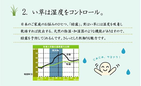い草 ラグマット/絨毯 リーフ柄 グリーン 約191×191cm 正方形 防滑加工 抗菌防臭 調湿 消臭 〔リビング〕代引NG