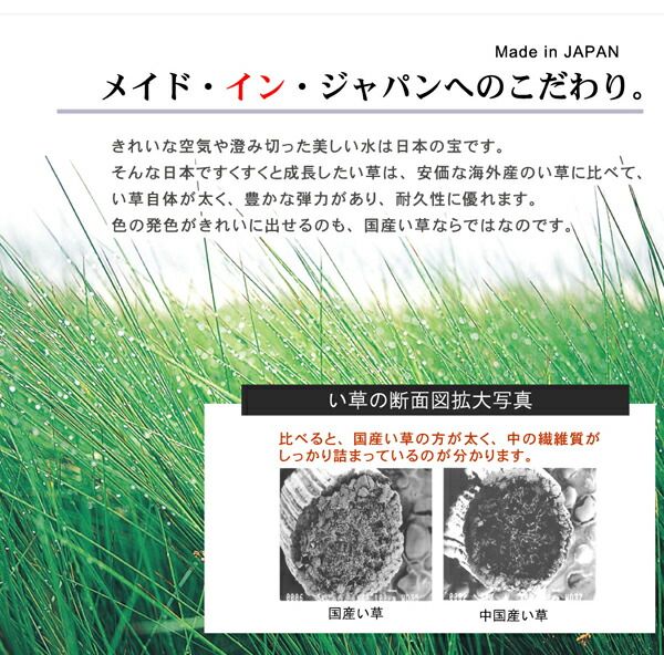 となりのトトロ い草 ラグマット/絨毯 176×176cm 日本製 抗菌 防臭 調湿効果 弾力性 耐久性抜群 〔リビング〕代引NG