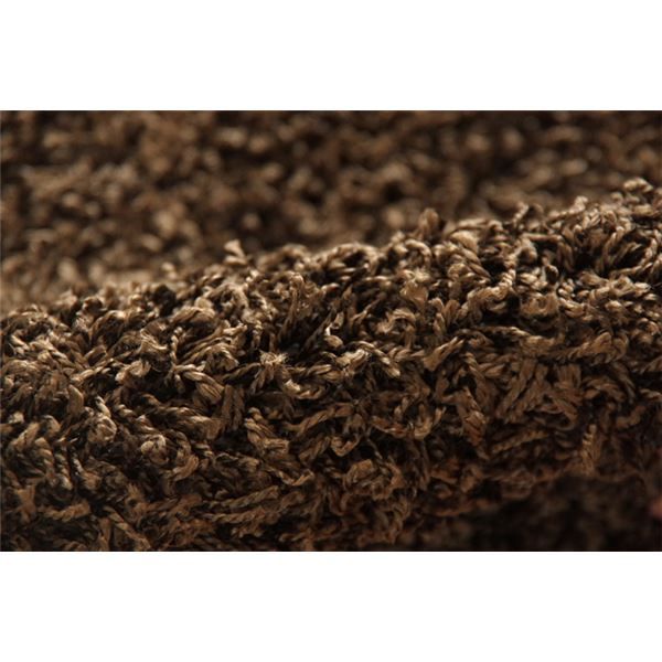 ラグマット/絨毯 1畳 無地 ブラウン 約95×140cm 日本製 防炎 抗菌 防臭 防ダニ 通年使用 シャギー タフト 〔リビング〕代引NG