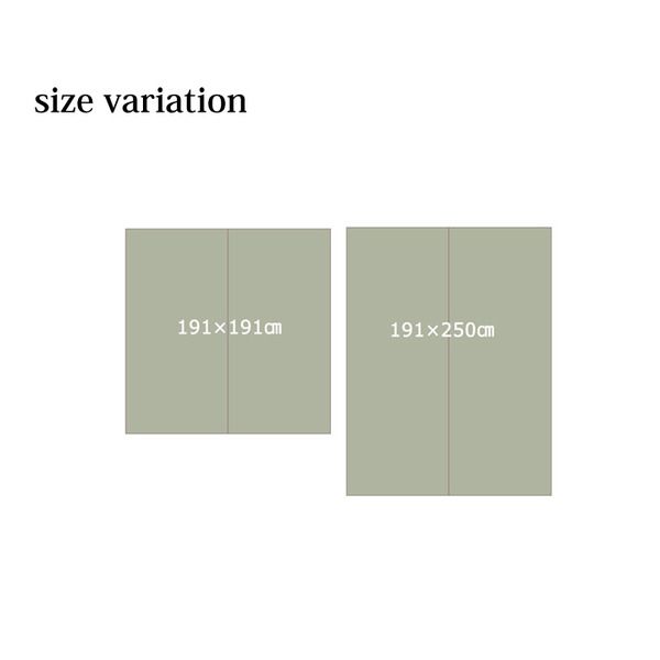 日本製 い草 ラグマット/絨毯 約3畳 長方形 ブラウン 約191×250cm 裏：ウレタン 抗菌 防臭 消臭 調湿 〔リビング〕代引NG