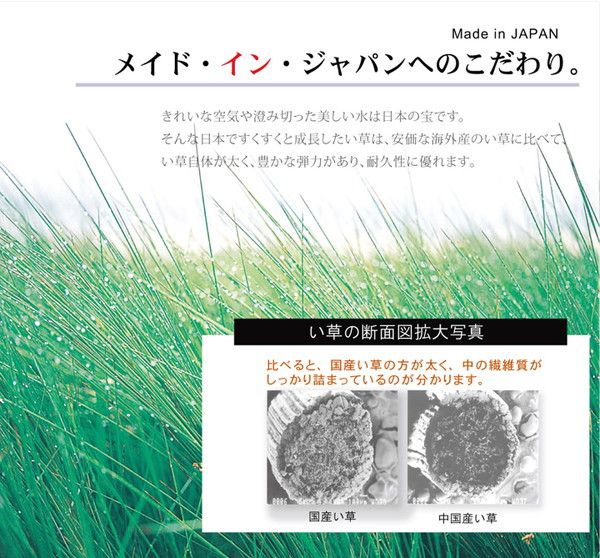 い草 ラグマット/花ござ 約1畳 長方形 グレー 約95×150cm 裏：不織布 防滑 抗菌 防臭 消臭 調湿 日本製 〔リビング〕代引NG