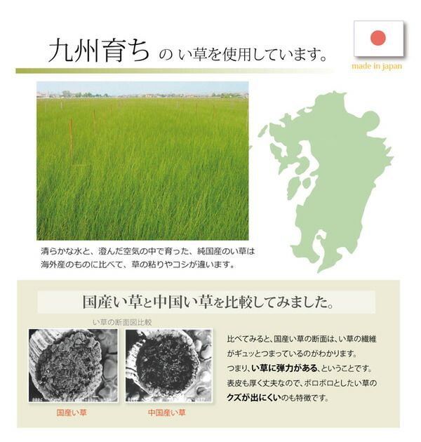 い草 枕/ピロー くぼみ平枕 約50×30cm 中材：低反発ウレタンチップ おふくろの枕 抗菌防臭 消臭機能 〔ベッドルーム 寝室〕代引NG 寝具 枕・抱き枕 枕