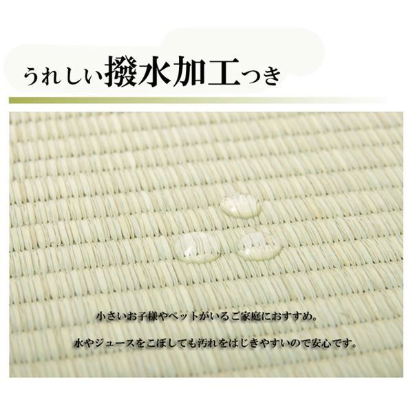 い草 上敷き/ラグマット 無地 江戸間4.5畳 約261×261cm はっ水 抗菌 防臭 調湿 リバーシブル 『撥水 湖水』 〔リビング〕代引NG