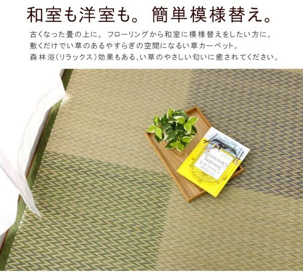 い草 ラグマット/花ござ 8畳 格子柄 市松柄 ブラウン 本間8畳 約382×382cm 裏：不織布 抗菌 防臭 消臭 調湿 〔リビング〕代引NG