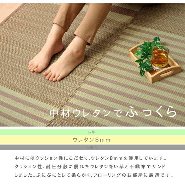 い草 ラグマット/絨毯 6畳 ブラウン 約240×320cm 撥水 防傷 抗菌 防臭 消臭 折りたたみ収納可 中：ウレタン8mm 〔リビング〕代引NG