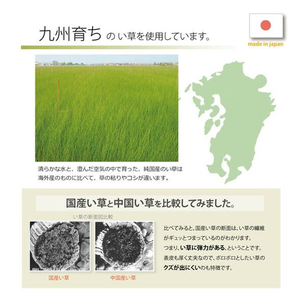スーパSALE10倍＆4時間限定10％OFF 日本製 い草 置き畳/ユニット畳 【半畳 ナチュラル 約82×82cm 6枚組】 軽量 抗菌 防臭 防滑 連結ジョイント付 〔リビング〕【代引NG】