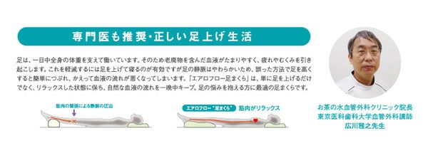スーパSALE10倍＆4時間限定10％OFF 足枕/フットピロー カバー付き 『エアロフロー』 日本製 〔リフレクソロジー リラックスグッズ〕