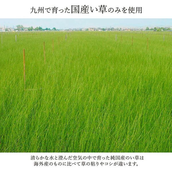 モダン い草 ラグマット/絨毯 ネイビー 約191cm×250cm 日本製 抗菌 防臭 自然素材 モダン 調湿 空気清浄効果代引NG