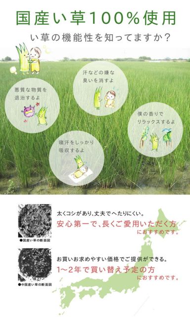 ふっくら い草 ラグマット/絨毯 ブルー 約191cm×250cm 日本製 抗菌 防臭 調湿 裏面ウレタン代引NG