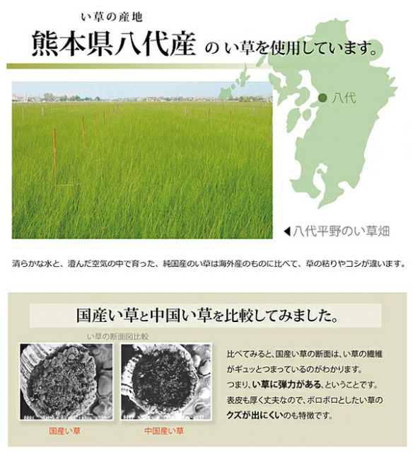 い草 上敷き/ラグマット 団地間2畳 約170×170cm 正方形 市松柄 日本製 抗菌 防臭 消臭 調湿 空気清浄代引NG
