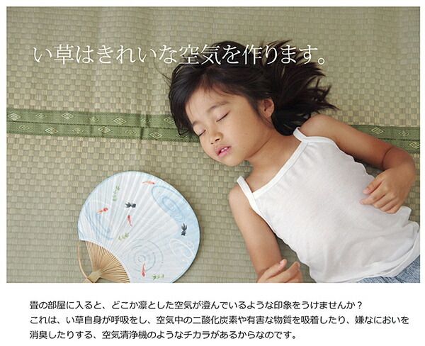 い草 上敷き/ラグマット 団地間4.5畳 約255×255cm 正方形 市松柄 日本製 抗菌 防臭 消臭 調湿 空気清浄代引NG