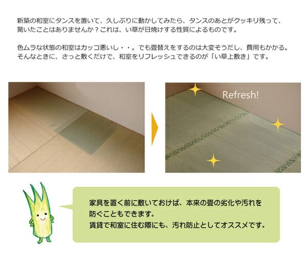 い草 上敷き/ラグマット 団地間4.5畳 約255×255cm 正方形 日本製 ウレタン 抗菌 防臭 消臭 調湿 空気清浄代引NG