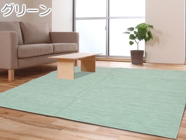 スーパSALE10倍＆4時間限定10％OFF カーペット ラグ 平織 抗菌 ペットの爪が引っかかりにくい レベルカット / 江戸間 3畳 176×261cm ブラック 日本製 ソレイユ 九装