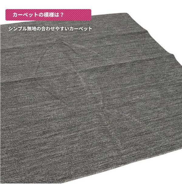 スーパSALE10倍＆4時間限定10％OFF カーペット ラグ 平織 抗菌 ペットの爪が引っかかりにくい レベルカット / 江戸間 4.5畳 261×261cm ブラック 日本製 ソレイユ 九装