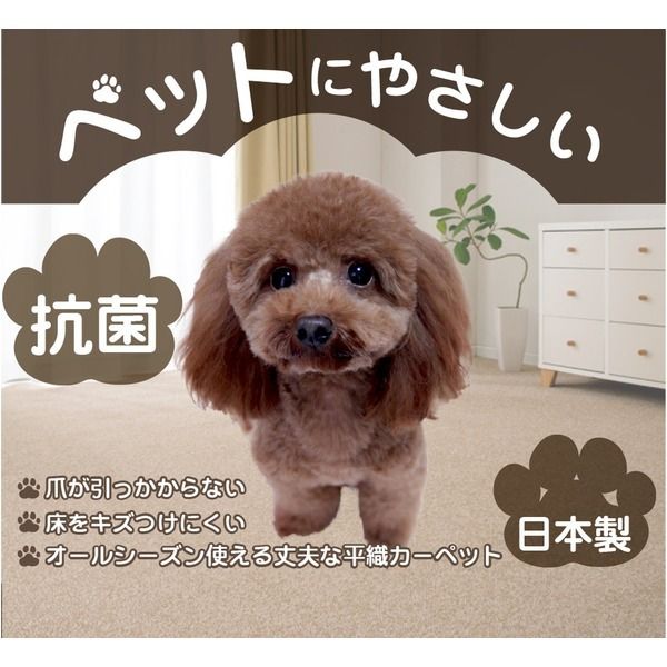 スーパSALE10倍＆4時間限定10％OFF カーペット ラグ 平織 抗菌 ペットの爪が引っかかりにくい レベルカット / 江戸間 6畳 261×352cm ローズ 日本製 Nリーダー 九装