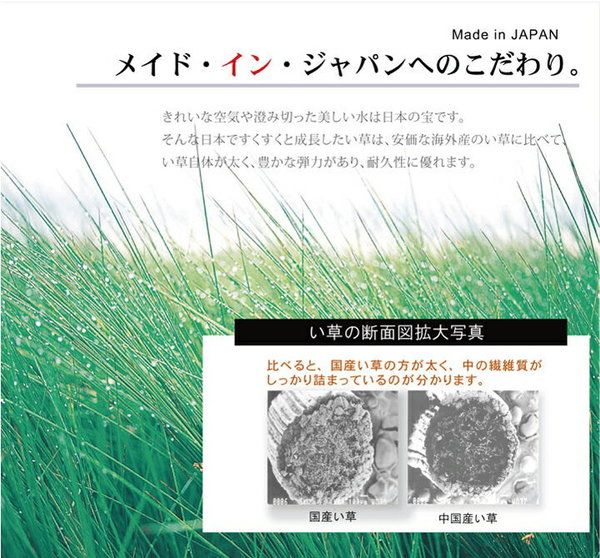 い草 花ござ ラグマット/絨毯 ブルー 江戸間4.5畳 約261×261cm 抗菌 防臭 消臭 調湿 日本製 〔リビング ダイニング〕代引NG