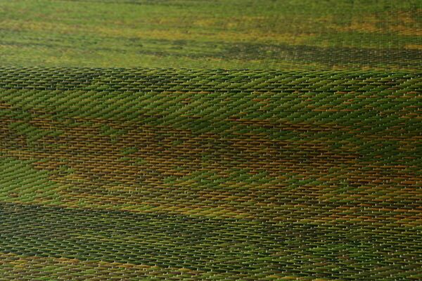 い草 花ござ ラグマット/絨毯 ブルー 江戸間3畳 約174×261cm 抗菌 防臭 消臭 調湿 日本製 〔リビング フローリング〕代引NG