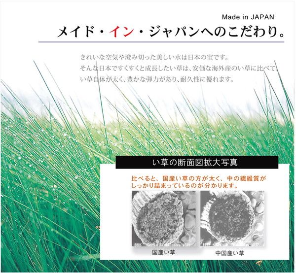 い草 ラグマット/絨毯 格子柄 シンプルモダン グリーン 約191×250cm 日本製 抗菌 防臭 調湿機能 耐久性抜群 〔リビング〕代引NG