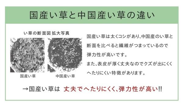 モダン調 い草 ラグマット/絨毯 約140×200cm 日本製 抗菌 防臭 調湿機能 耐久性抜群 〔リビング ダイニング〕代引NG