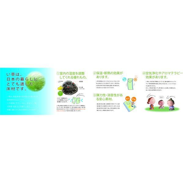国産い草 上敷き/ラグマット 江戸間4.5帖 ナチュラル 日本製 縁：綿100％ 『吉兆 きっちょう』 〔リビング ダイニング〕代引NG