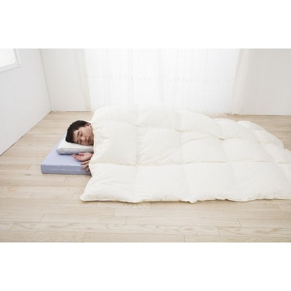 スーパSALE10倍＆4時間限定10％OFF 西川 日本製 厳選羽毛 ホワイトダック ダウン 軽量 ふっくら あったか 快眠 掛布団 シングルサイズ