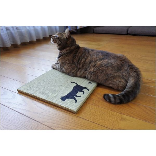 スーパSALE10倍＆4時間限定10％OFF 国産い草使用 足快適プチたたみ ワルツ（犬/ブラウン）